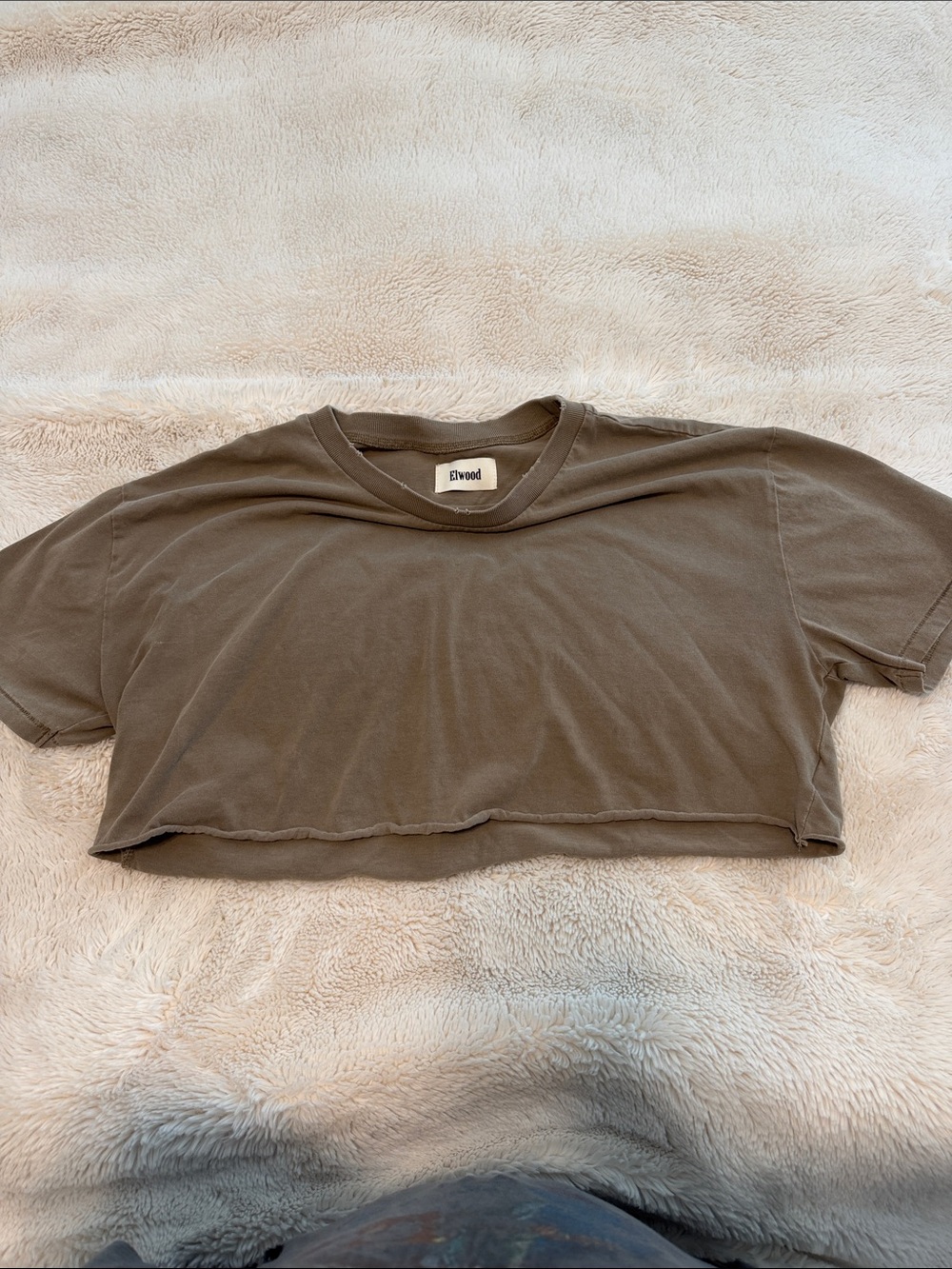 Elwood Cropped Crewneck Tee in Olive Brown